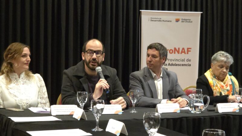 El Consejo Provincial de Niñez, Adolescencia y Familia sesionó en Comodoro