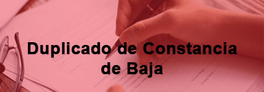 Duplicado de Constancia de Baja