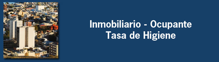 Inmobiliario – Ocupante – Tasa de Higiene