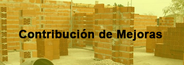Contribución de Mejoras