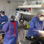 Municipio realizó 80 esterilizaciones caninas y felinas, en el marco del proyecto escolar “Mi Amigo Fiel”