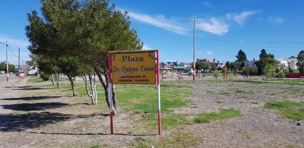 Municipio comenzará este jueves a reforestar espacios públicos de Comodoro