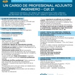 Búsqueda laboral de Un Profesional Ingeniero