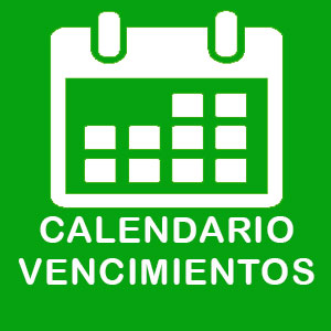 Calendario Impositivo 2024