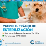 Esta semana se reestablece el servicio de esterilización gratuita