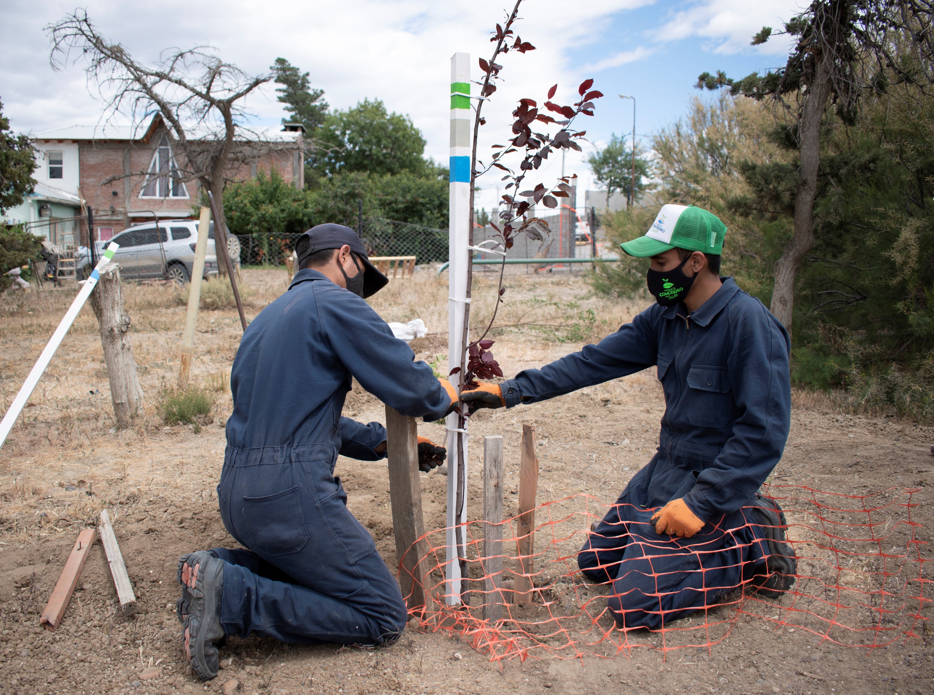 Continúa a paso firme el plan de forestación en nuestra ciudad