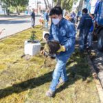 Comenzaron a colocar el césped en los boulevares de avenida Kennedy