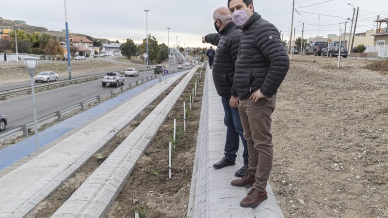 La gestión municipal fortalece su política embellecimiento de la ciudad