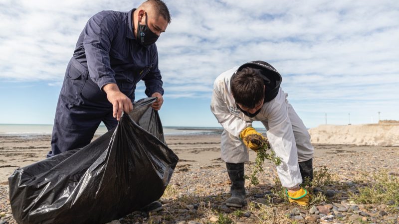 El Municipio realizó una jornada de limpieza en la playa en Restinga Alí