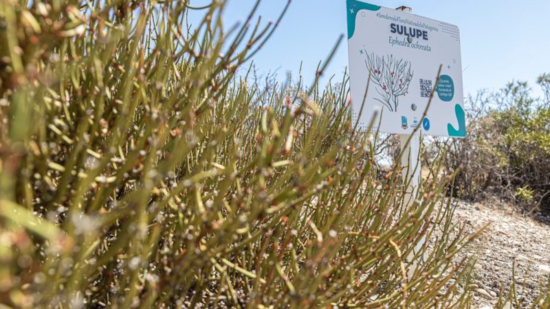 El Municipio ofrece una amplia agenda de circuitos turísticos para vecinos y visitantes