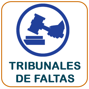 Tribunales de Faltas Municipales