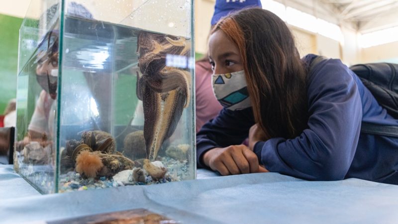 El Municipio junto a la UNPSJB realizarán la jornada recreativa “La Playa en tu Barrio”