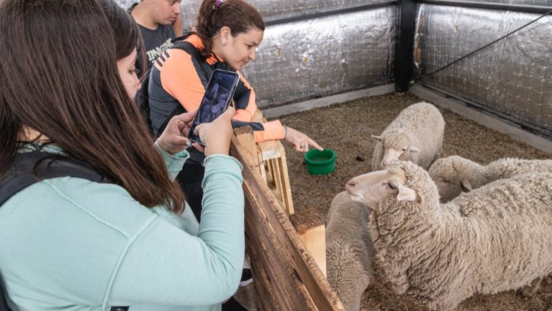 El programa “Turistas por un Día” visitó espacios productivos de Km. 17