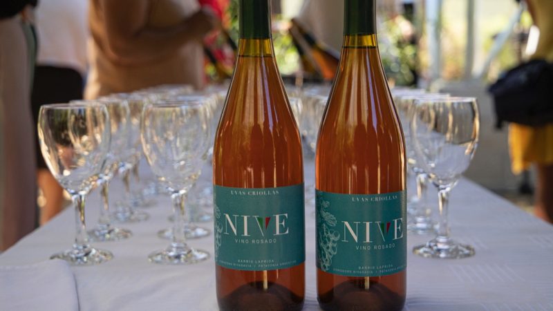 El Municipio presentó los vinos comodorenses Cosecha 2022
