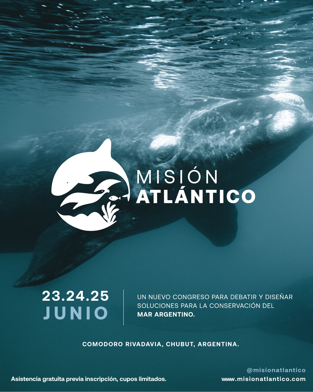 Comodoro se prepara para ser sede del Congreso Misión Atlántico que impulsa el cuidado del Mar Argentino