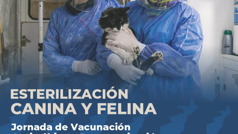 ESTERILIZACIÓN CANINA Y FELINA