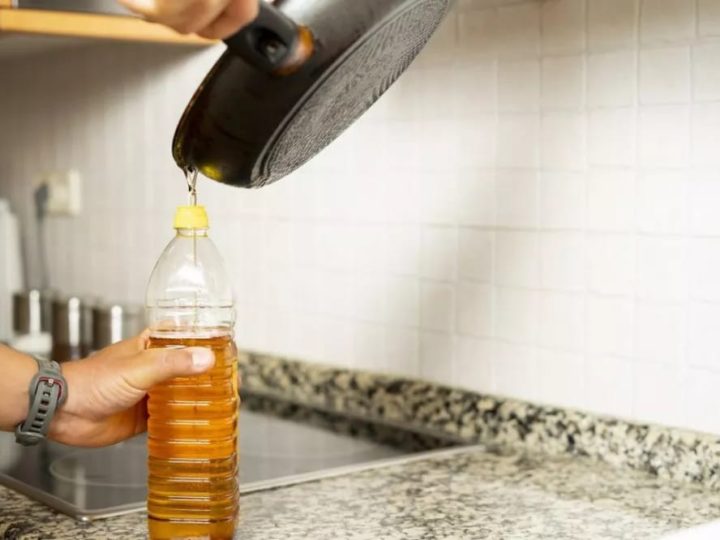 La Subsecretaría de Ambiente recolectará aceites vegetales usados durante el “Festín de Sabores”