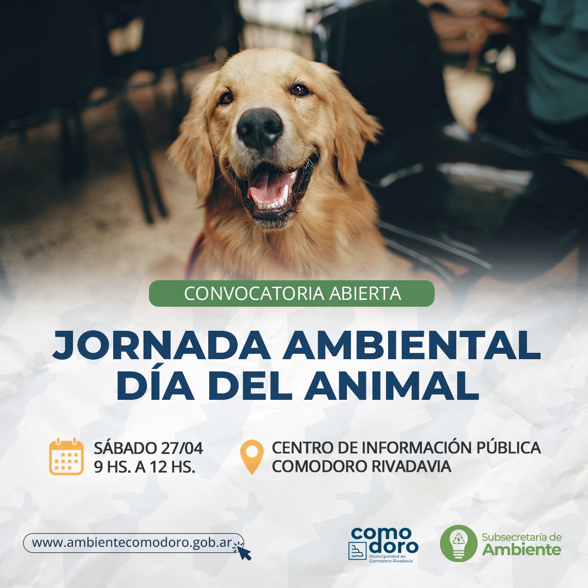 El Día del Animal se celebrará con una amplia jornada de concientización