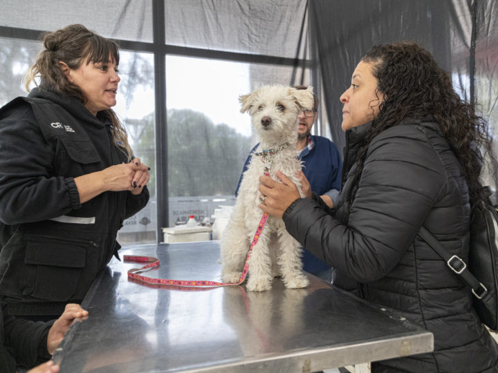 Se vacunaron 150 mascotas en la Jornada Ambiental por el Día del Animal