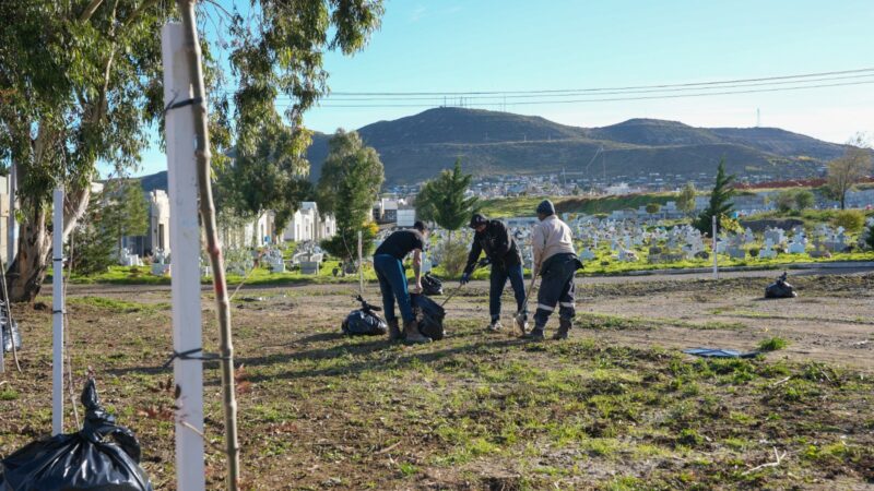 Se avanza con tareas de mantenimiento en el Cementerio Oeste y en las distintas plazas de Comodoro