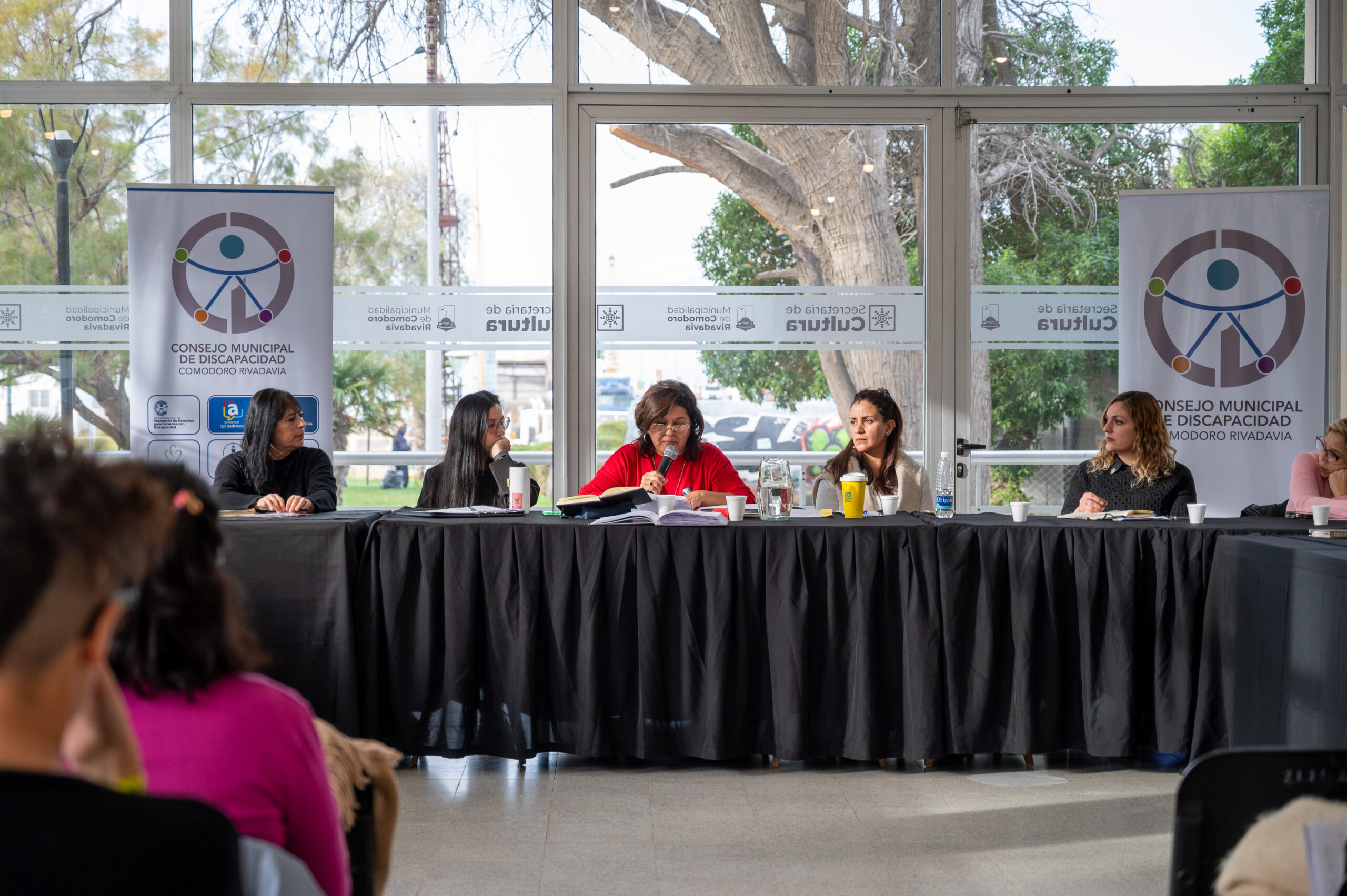 Se concretó un nuevo encuentro del Consejo Municipal de Discapacidad