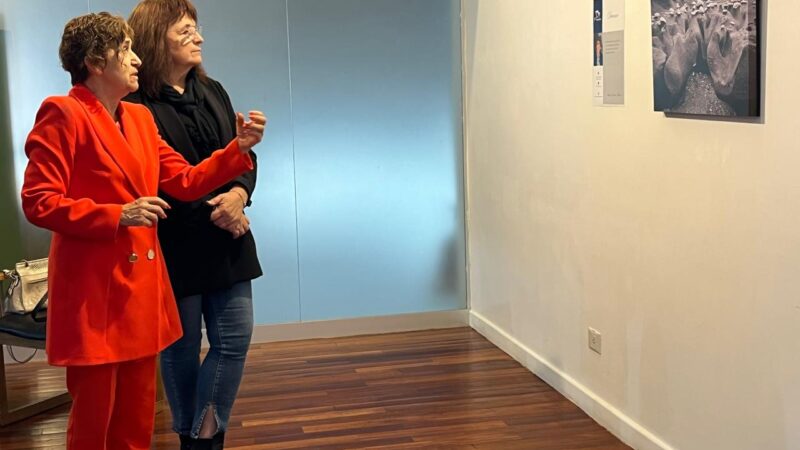 “Viviendo Arte”: una propuesta educativa que acerca las expresiones artísticas para el disfrute y la reflexión