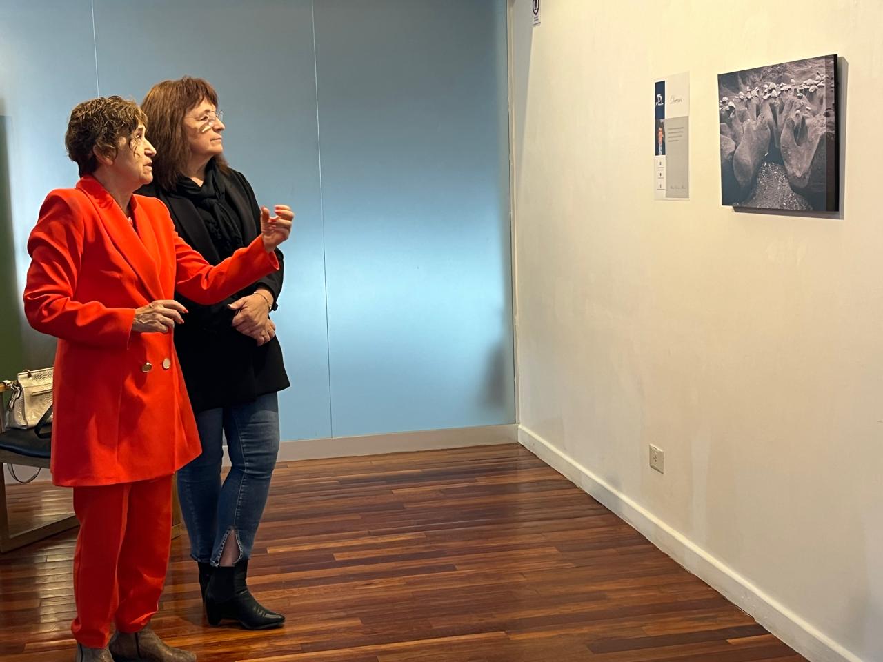 “Viviendo Arte”: una propuesta educativa que acerca las expresiones artísticas para el disfrute y la reflexión