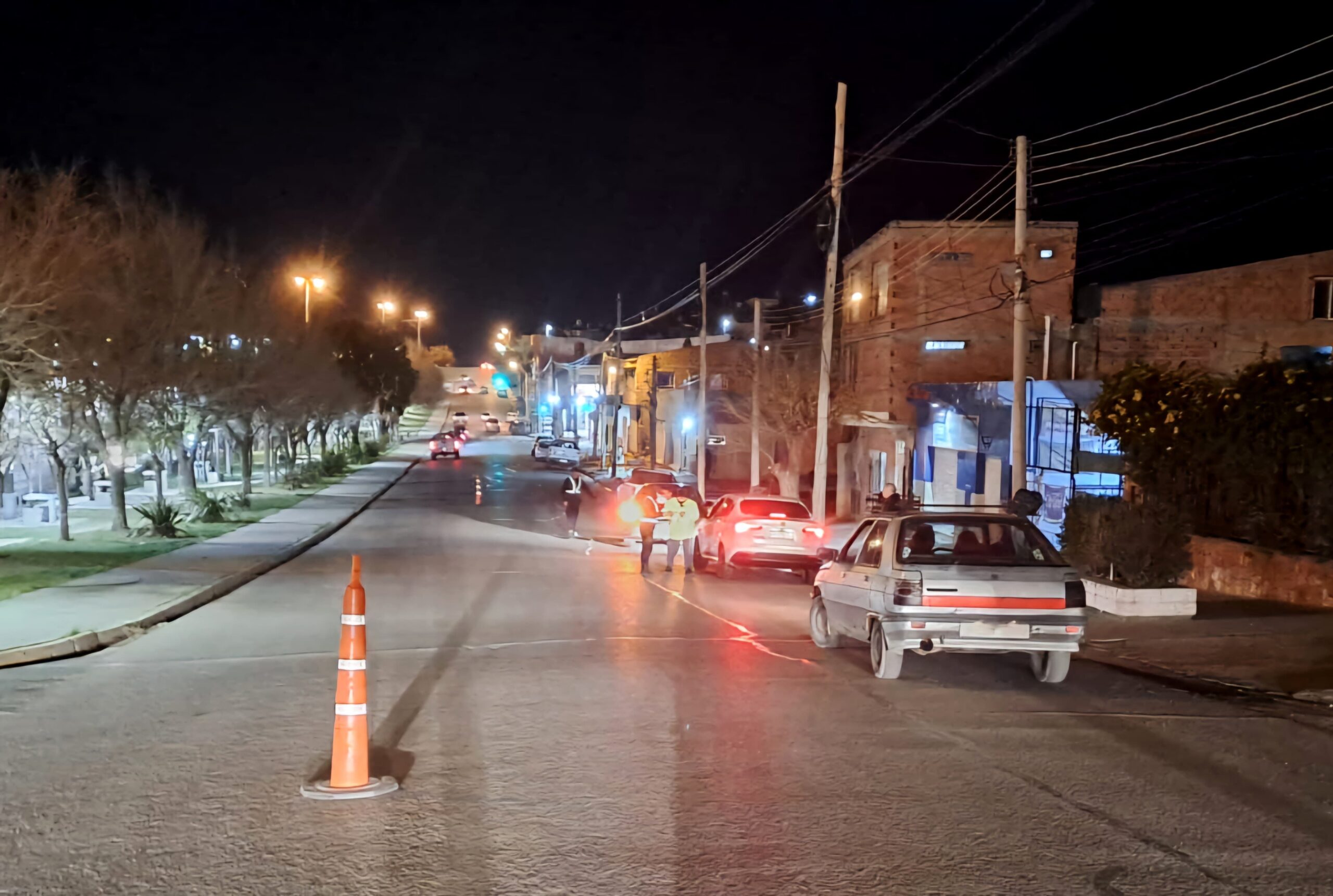 El Municipio efectuó nuevos controles de tránsito y detectó cargamento de pollo irregular