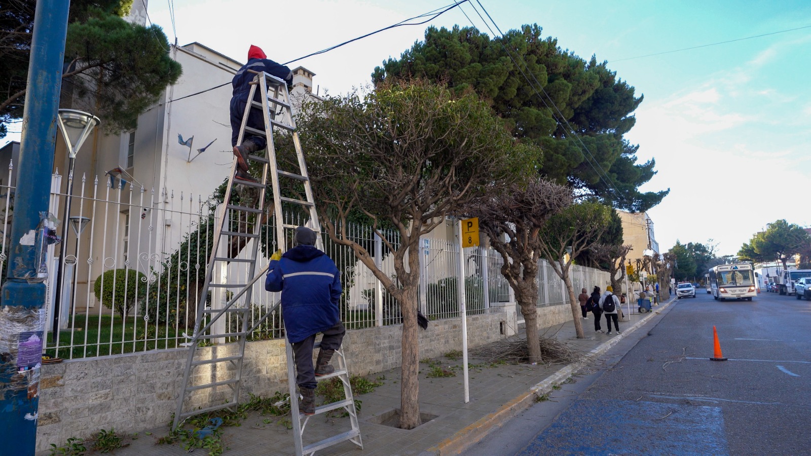Comenzó el operativo de poda en distintos sectores de la ciudad