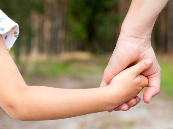 Buscan familias que puedan recibir transitoriamente a dos niños