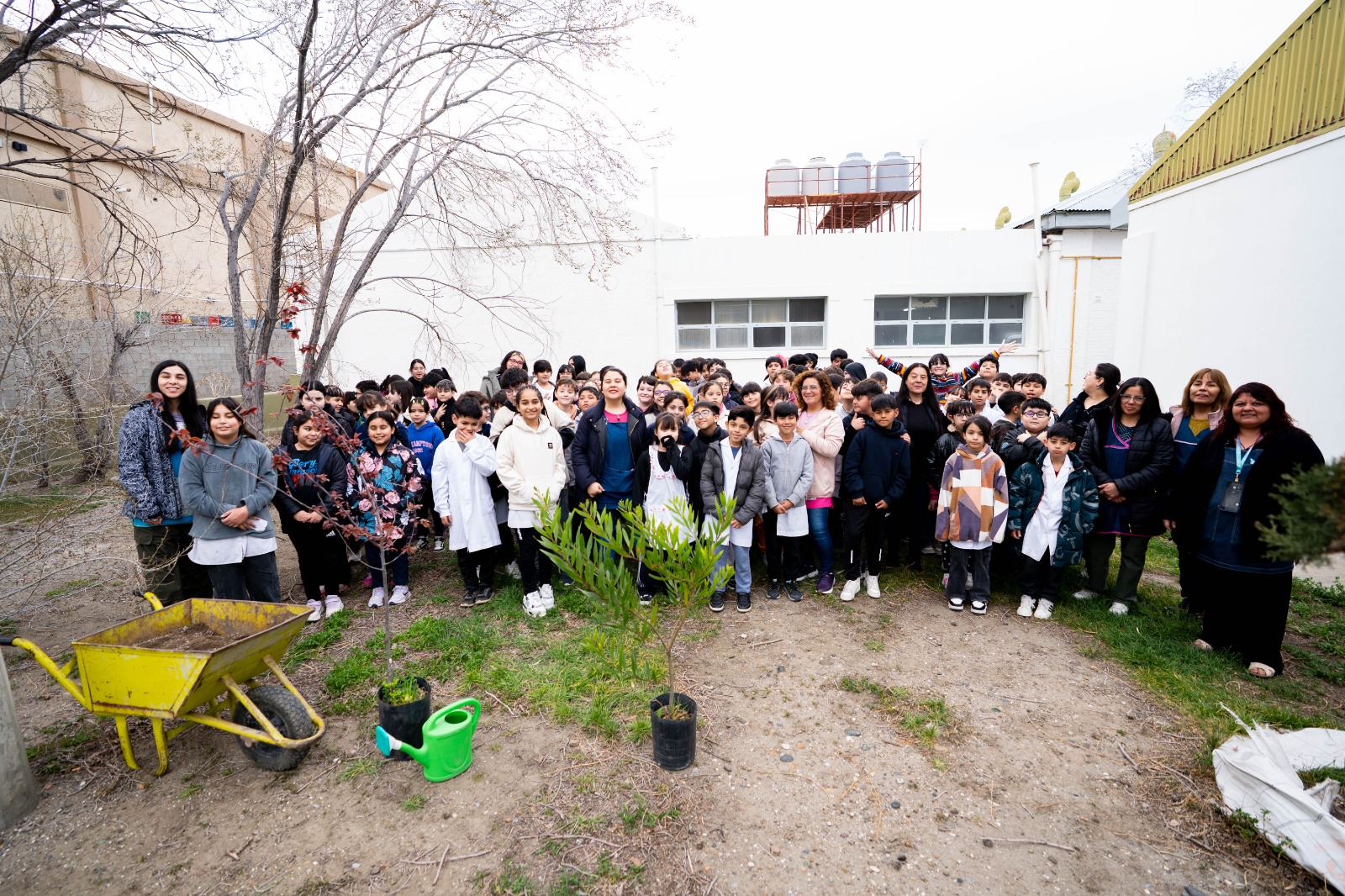 En el Día del Árbol, alumnos de la Escuela N° 126 plantaron distintas especies para generar conciencia