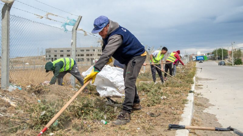 Amplio trabajo de limpieza y embellecimiento en Stella Maris