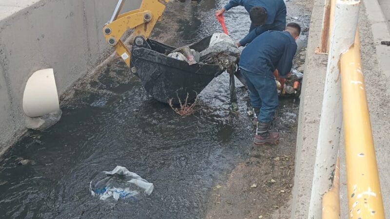 Continúan las tareas de limpieza y mantenimiento en el canal de Avenida Roca