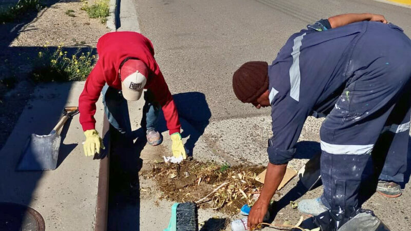 Mantenimiento preventivo: continúan las tareas de limpieza de sumideros en distintos barrios