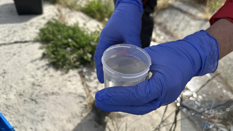 El Municipio intensifica los controles ambientales en la ciudad 