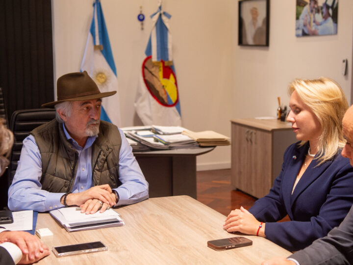 Othar y Suiskaia ratificaron la voluntad de cooperación en proyectos energéticos, industriales y científicos