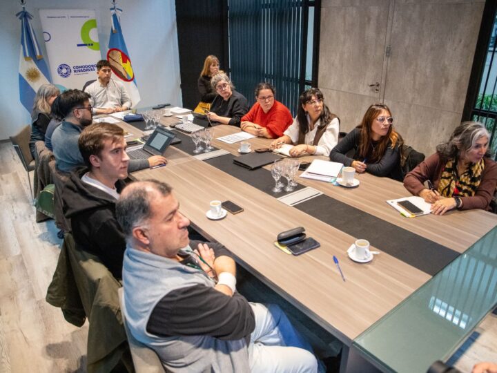 La Comisión de Emergencia avanza en herramientas para definir beneficios a familias afectadas por el desplazamiento del Cerro Hermitte