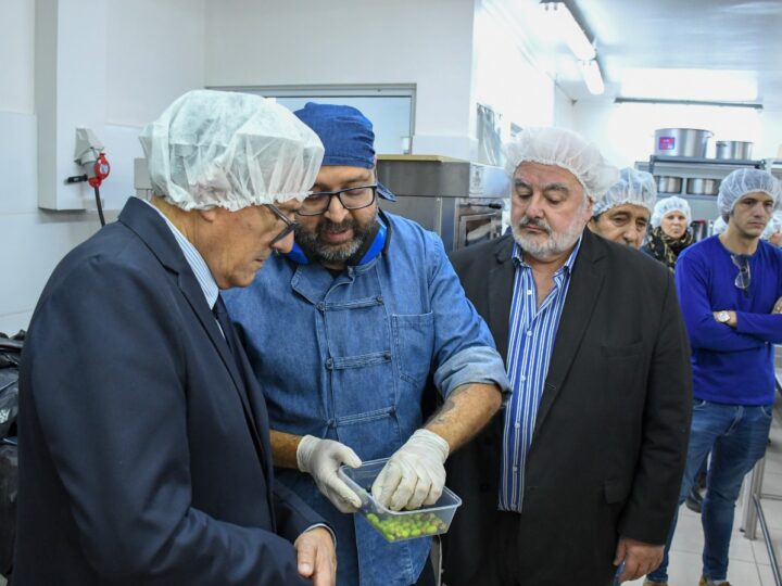 La temporada 2026 de extracción de aceite de oliva culminó con excelentes resultados