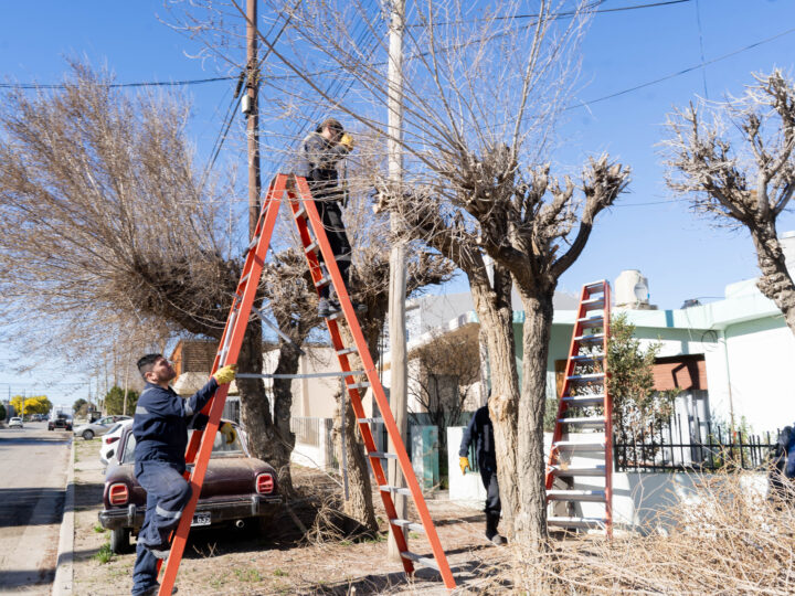 El Municipio continúa con el mantenimiento integral de espacios verdes en distintos sectores de la ciudad