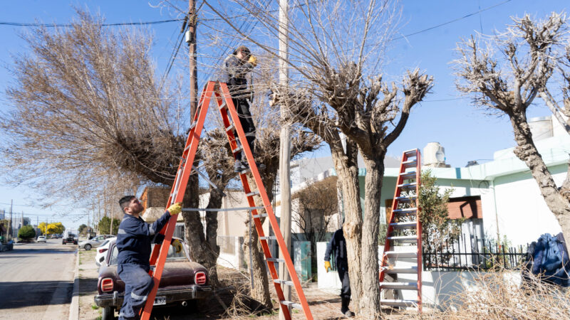 El Municipio continúa con el mantenimiento integral de espacios verdes en distintos sectores de la ciudad