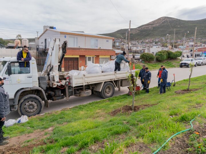 Comodoro fortalece el arbolado urbano con nuevas plantaciones y sistemas de riego por goteo