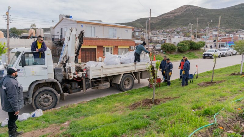 Comodoro fortalece el arbolado urbano con nuevas plantaciones y sistemas de riego por goteo