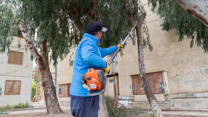 El Municipio refuerza los operativos de poda para mejorar la seguridad urbana