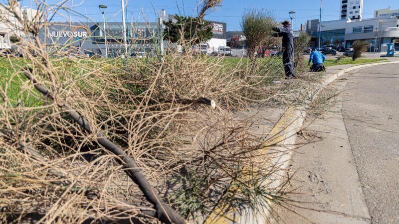La gestión municipal optimiza la seguridad vial y el mantenimiento de los espacios verdes
