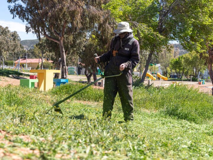 Prosiguen las tareas de reacondicionamiento de espacios verdes